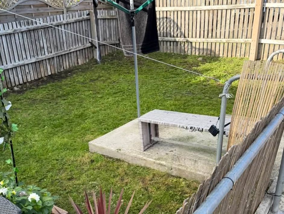 Back garden lawn cut and tidied