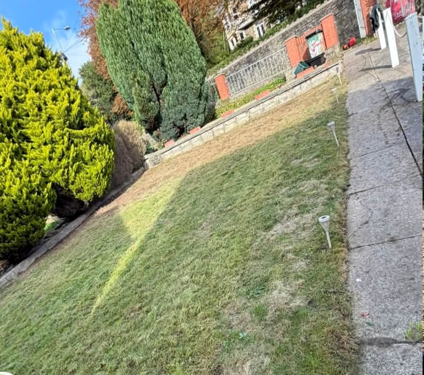 Freshly cut sloping lawn with striped finish